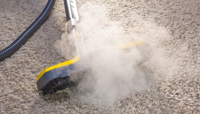 Dry steam cleaner in action. Using dry steam cleaner to sanitize floor carpet.